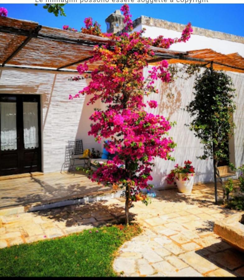 Room In Bb - Stunning Quadruple Room In Ancient Masseria Near The Sea In A Quiet Olive Trees Ostuni Exterior foto