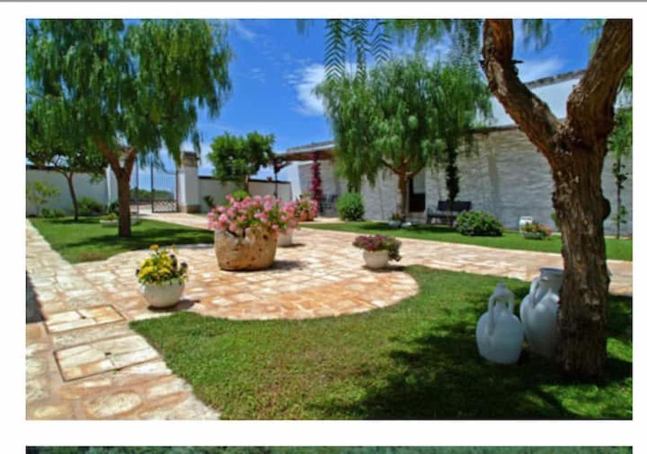 Room In Bb - Stunning Quadruple Room In Ancient Masseria Near The Sea In A Quiet Olive Trees Ostuni Exterior foto